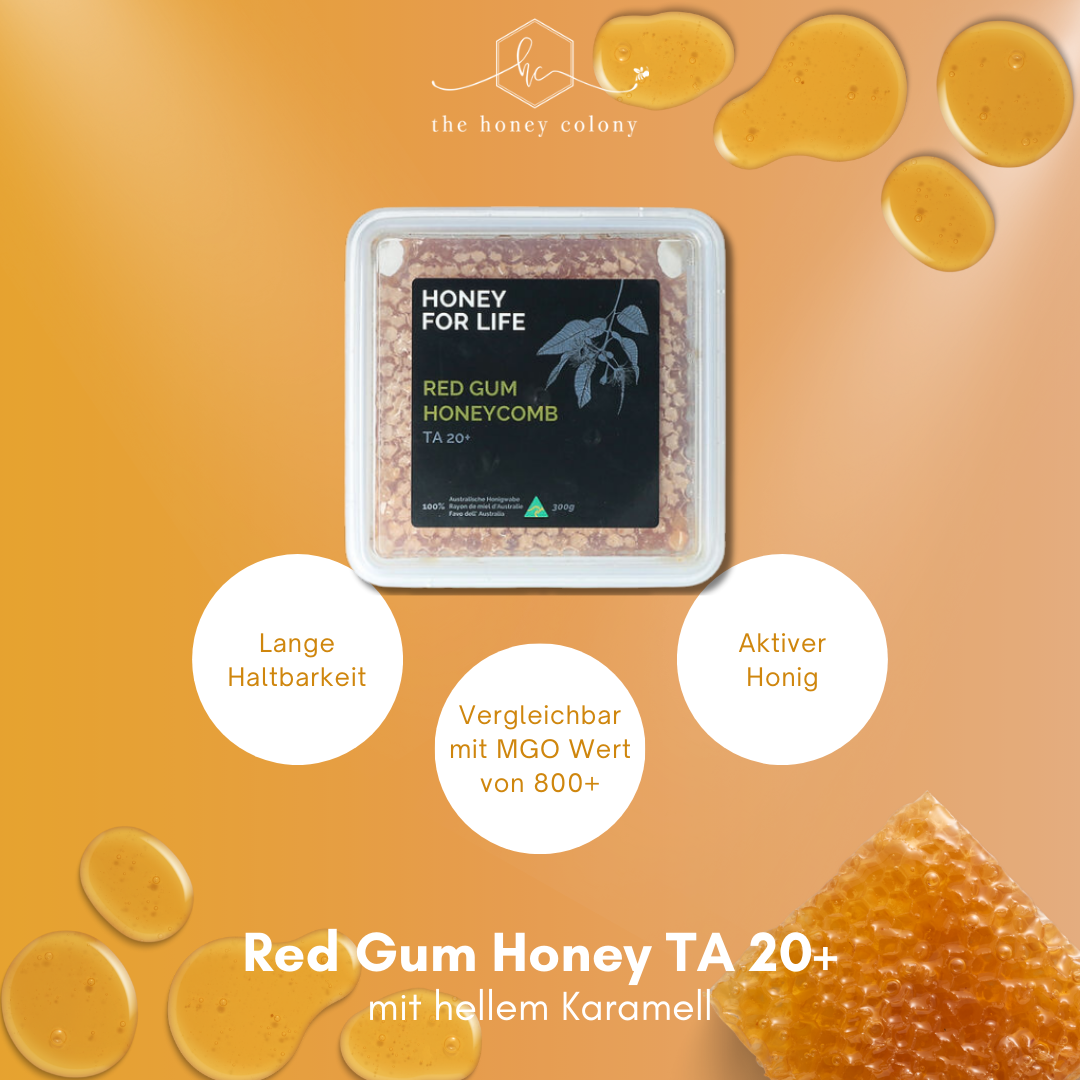Red Gum Honey Comb TA 20+ (vergleichbar mit MGO Wert von 800+)
