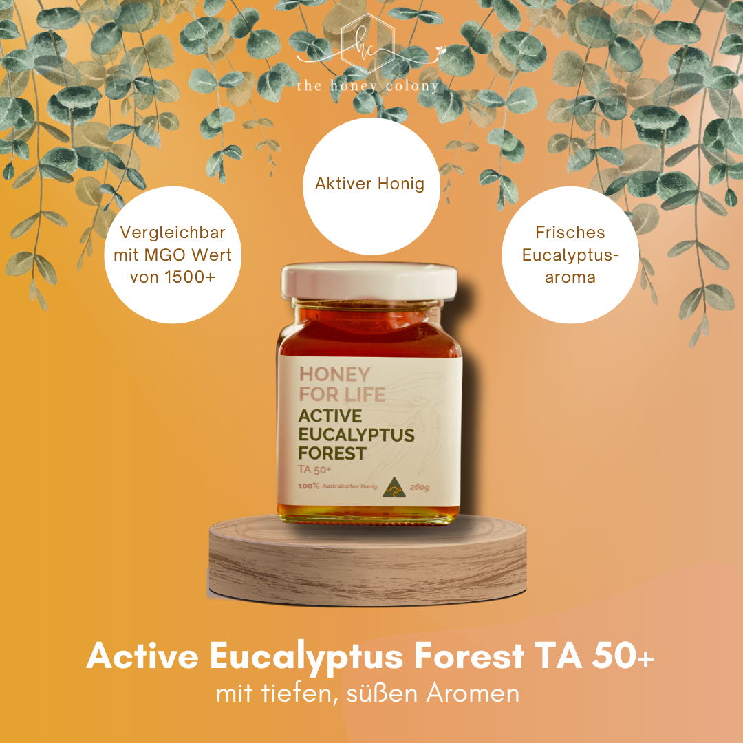 Active Eucalyptus Forest (vergleichbar mit MGO Wert von 1500+)