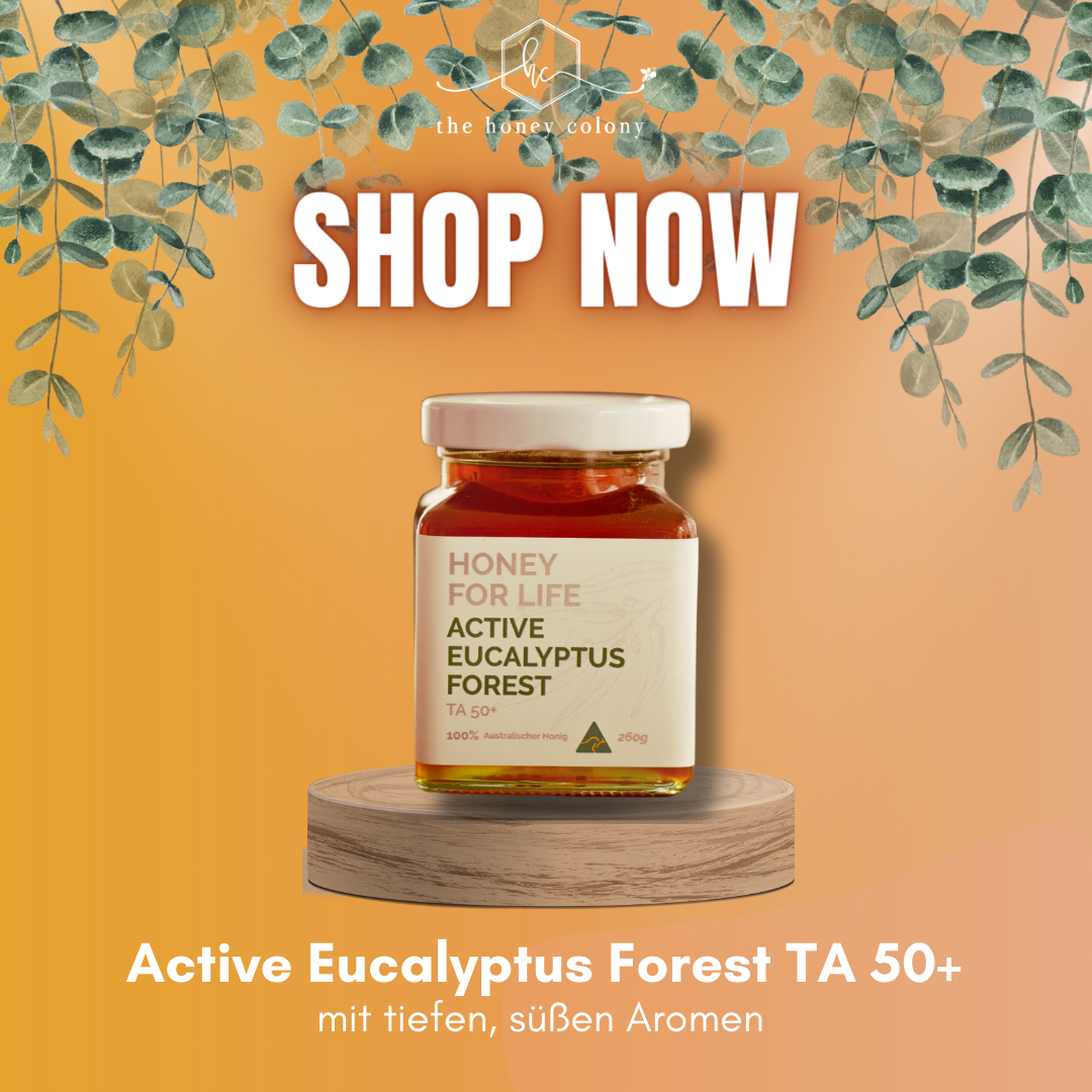 Active Eucalyptus Forest (vergleichbar mit MGO Wert von 1500+)
