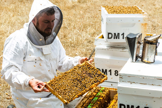 Die Herkunft von Manuka-Honig vs. Honey Colony-Honig: Ein Vergleich