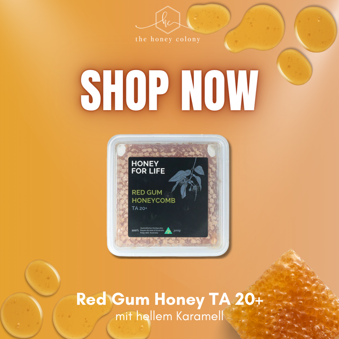 Red Gum Honey Comb TA 20+ (vergleichbar mit MGO Wert von 800+)